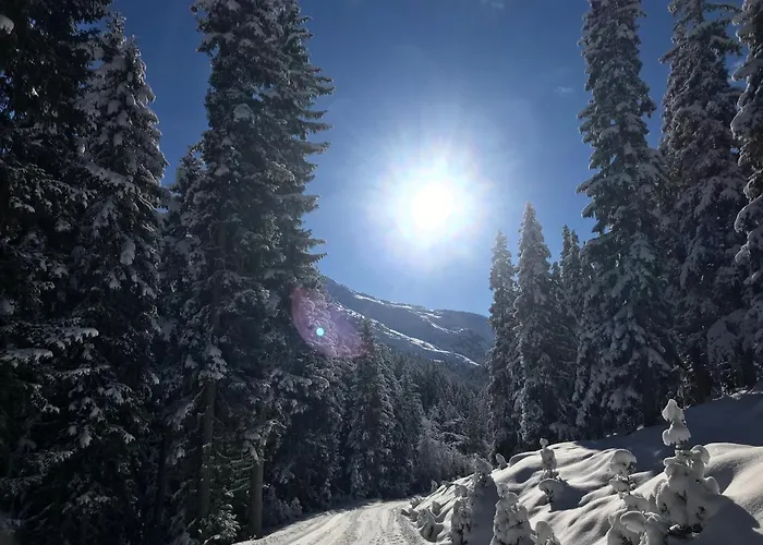公寓 Haus Garber 齐勒河谷采尔