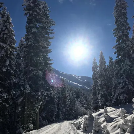 Daire Haus Garber Zell am Ziller